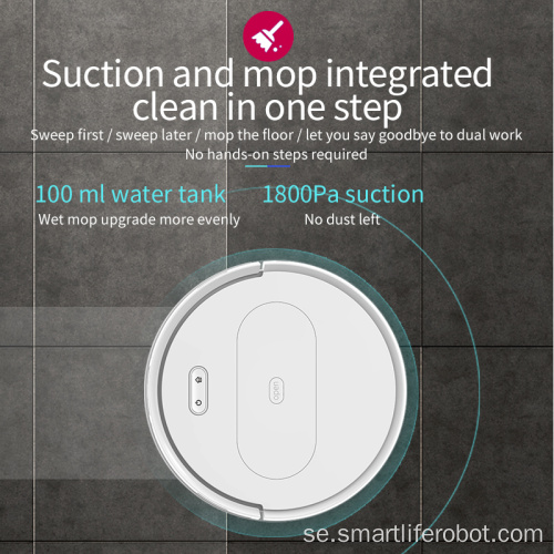 OEM Anpassad Smart Mapping Robotdammsugare